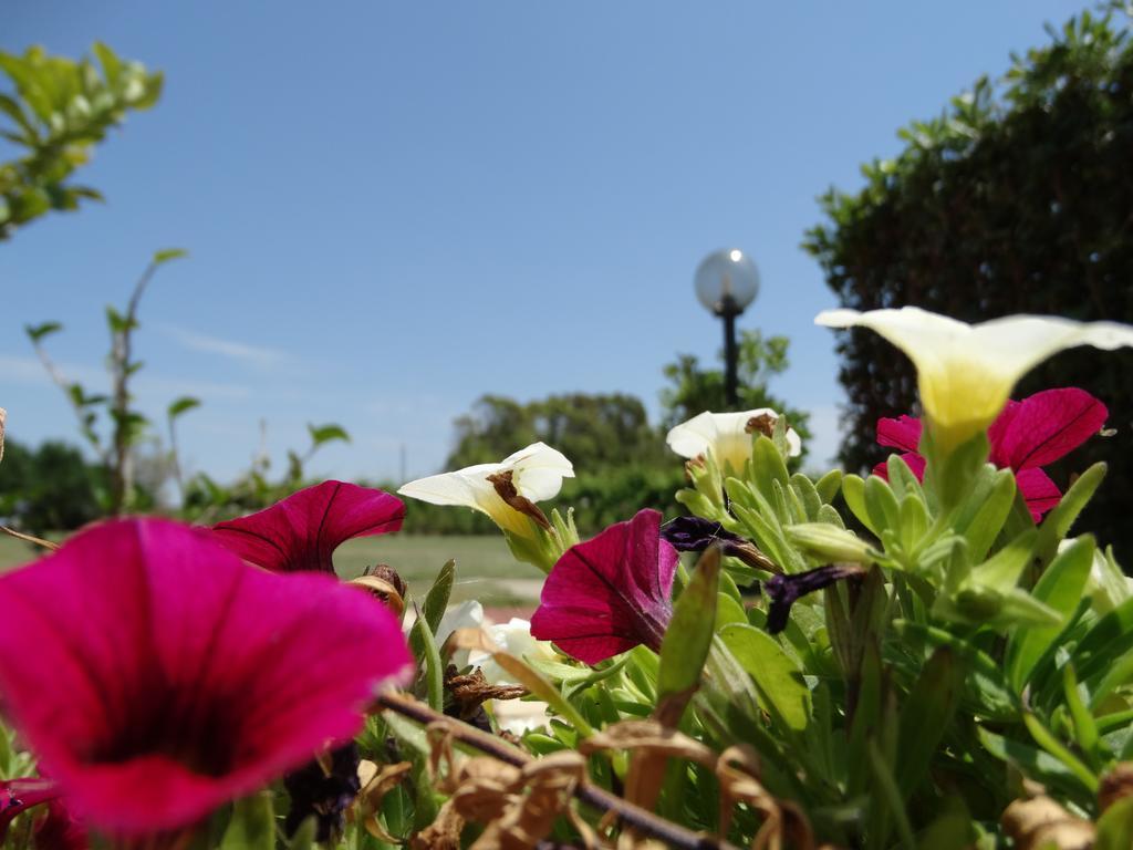Il Pagio Bed & Breakfast